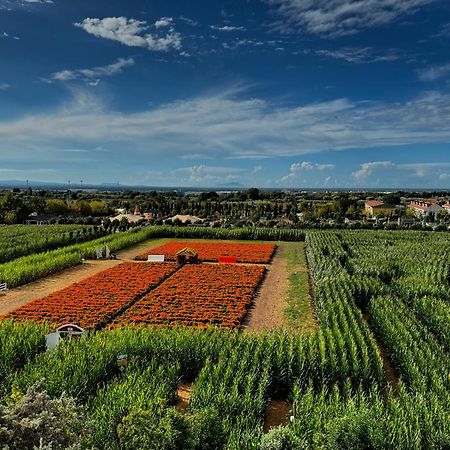 Appartamento La Rondine Pignataro Maggiore Exterior foto